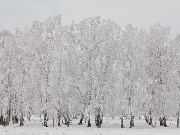 Фотоконкурс «Зимний пейзаж».