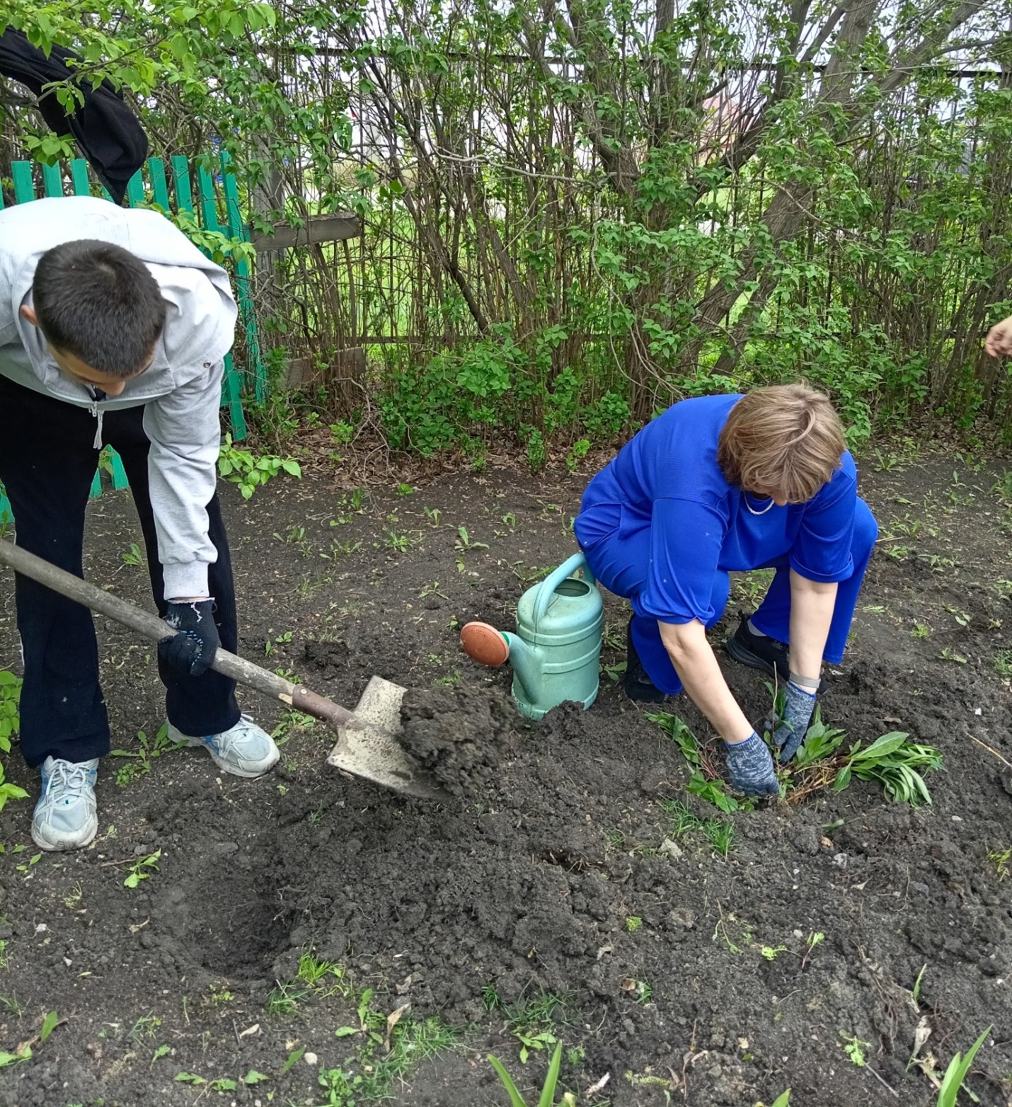 Посадка цветов на пришкольном участке.